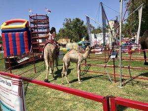 Santa Barbara County Fair #fair #fun #familyfun #amusementpark #blog #blogger #bloggermom #momblogger #savings
