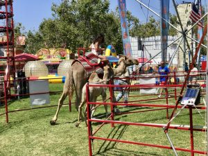 Santa Barbara County Fair #fair #fun #familyfun #amusementpark #blog #blogger #bloggermom #momblogger #savings