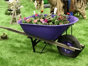 Santa Barbara County Fair #fair #fun #familyfun #amusementpark #blog #blogger #bloggermom #momblogger #savings