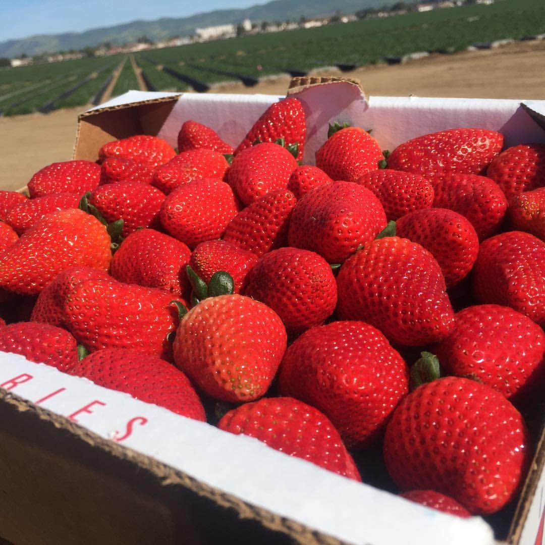 Homemade Strawberry Jam #JustAddStrawberries #California #Travel