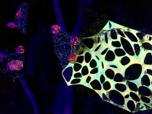 Six Flags Magic Mountain Fright Fest 2018 #FrightFest #MagicMountain #Halloween #park #familyfun #hauntedhouse #travel #familytravel