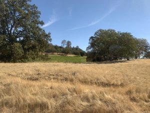 Margarita Adventures Zipline #MargaritaAdventures #zipline #ziplining #familyfun #adventure #travel #ad
