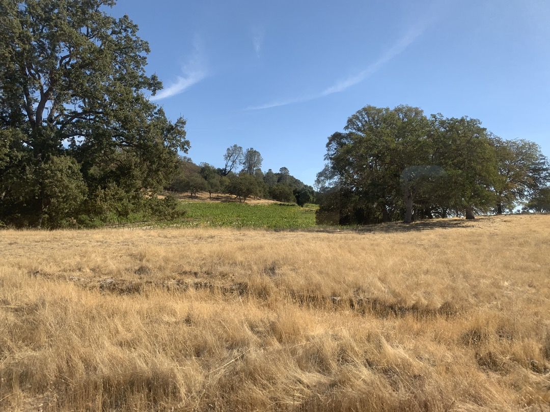 Margarita Adventures Zipline #MargaritaAdventures #zipline #ziplining #familyfun #adventure #travel #ad