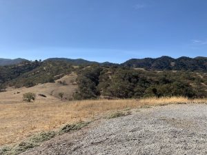 Margarita Adventures Zipline #MargaritaAdventures #zipline #ziplining #familyfun #adventure #travel #ad