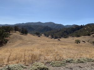 Margarita Adventures Zipline #MargaritaAdventures #zipline #ziplining #familyfun #adventure #travel #ad