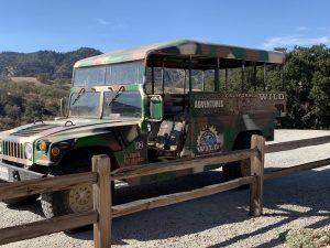 Margarita Adventures Zipline #MargaritaAdventures #zipline #ziplining #familyfun #adventure #travel #ad