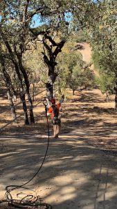 Margarita Adventures Zipline #MargaritaAdventures #zipline #ziplining #familyfun #adventure #travel #ad
