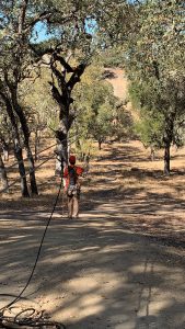 Margarita Adventures Zipline #MargaritaAdventures #zipline #ziplining #familyfun #adventure #travel #ad