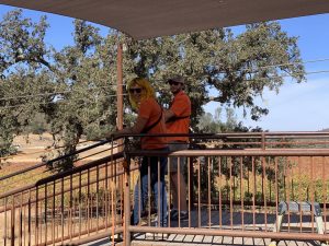 Margarita Adventures Zipline #MargaritaAdventures #zipline #ziplining #familyfun #adventure #travel #ad