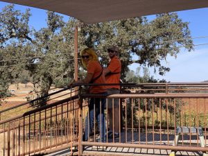 Margarita Adventures Zipline #MargaritaAdventures #zipline #ziplining #familyfun #adventure #travel #ad