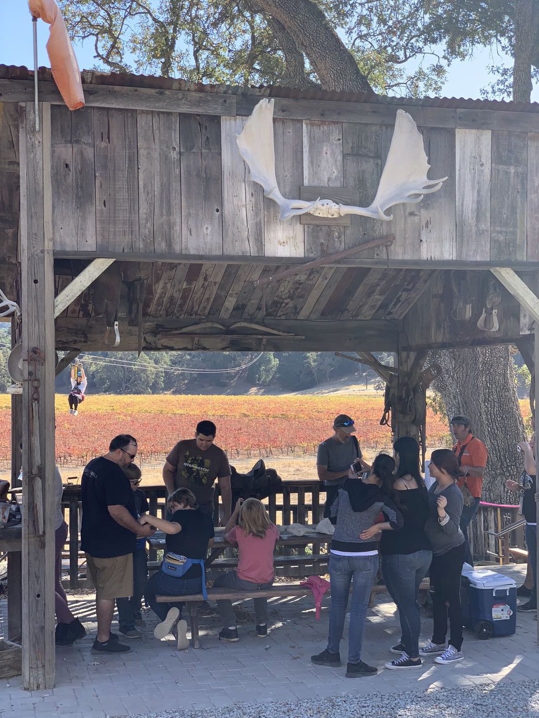 Margarita Adventures Zipline #MargaritaAdventures #zipline #ziplining #familyfun #adventure #travel #ad