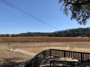 Margarita Adventures Zipline #MargaritaAdventures #zipline #ziplining #familyfun #adventure #travel #ad