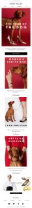 Year of the Dog New Year #Emma #NewYear #email #Marketing #ad