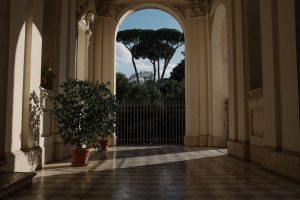 Hallway with Plants #Home #decor #living #plants #ad