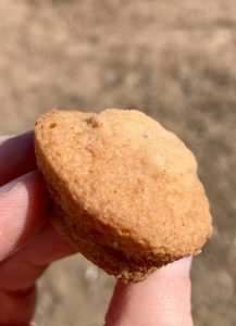 Entenmann's Little Bites Churro Muffins #Entenmanns #LittleBites #LoveLittleBites #LBChurro #Giveaway #ad