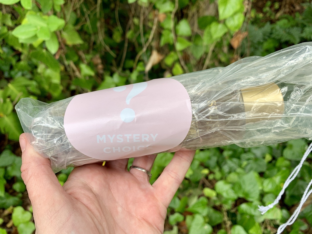 FabFitFun Mystery Item