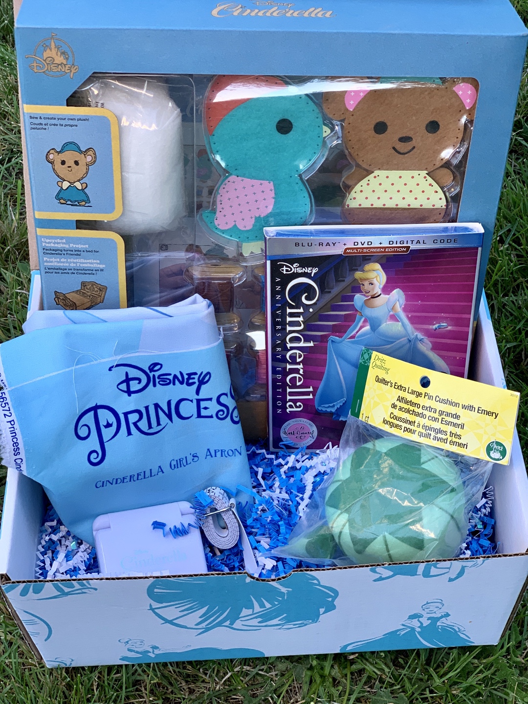 Cinderella Sewing Kit