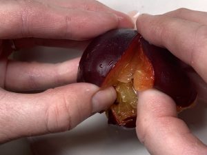Cutting plums