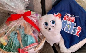 The Secret Life of Pets 2 Movie Kit