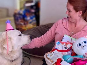 The Secret Life of Pets 2 Movie Kit