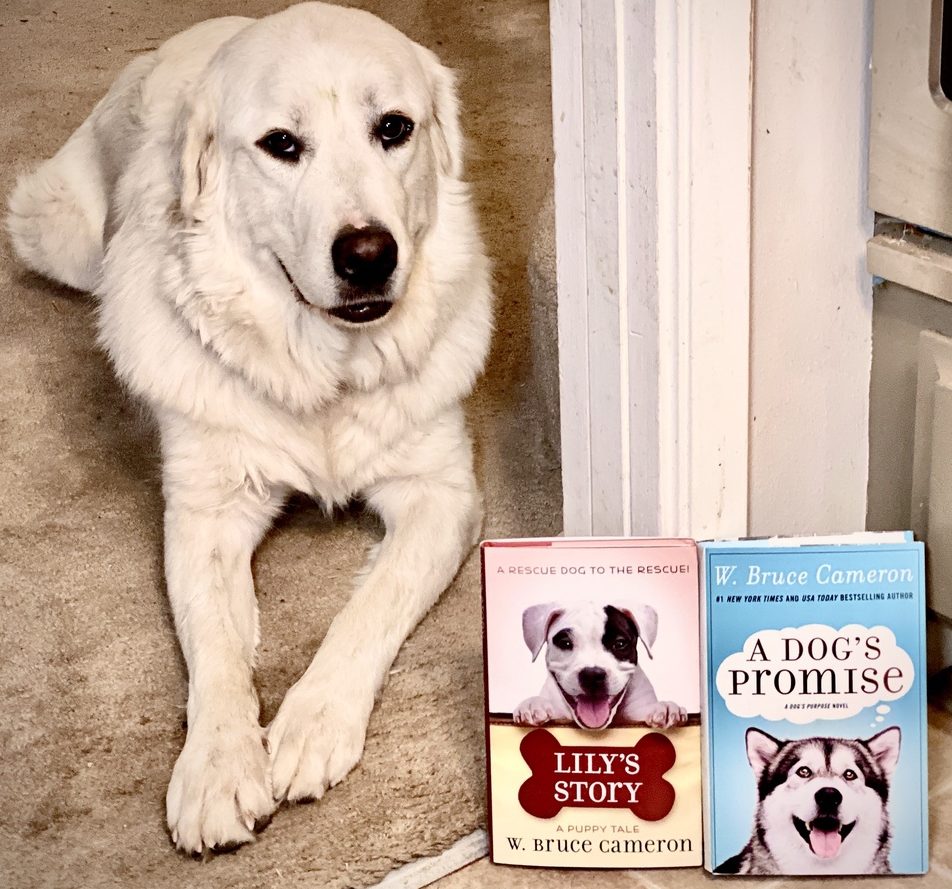 W. Bruce Cameron Books