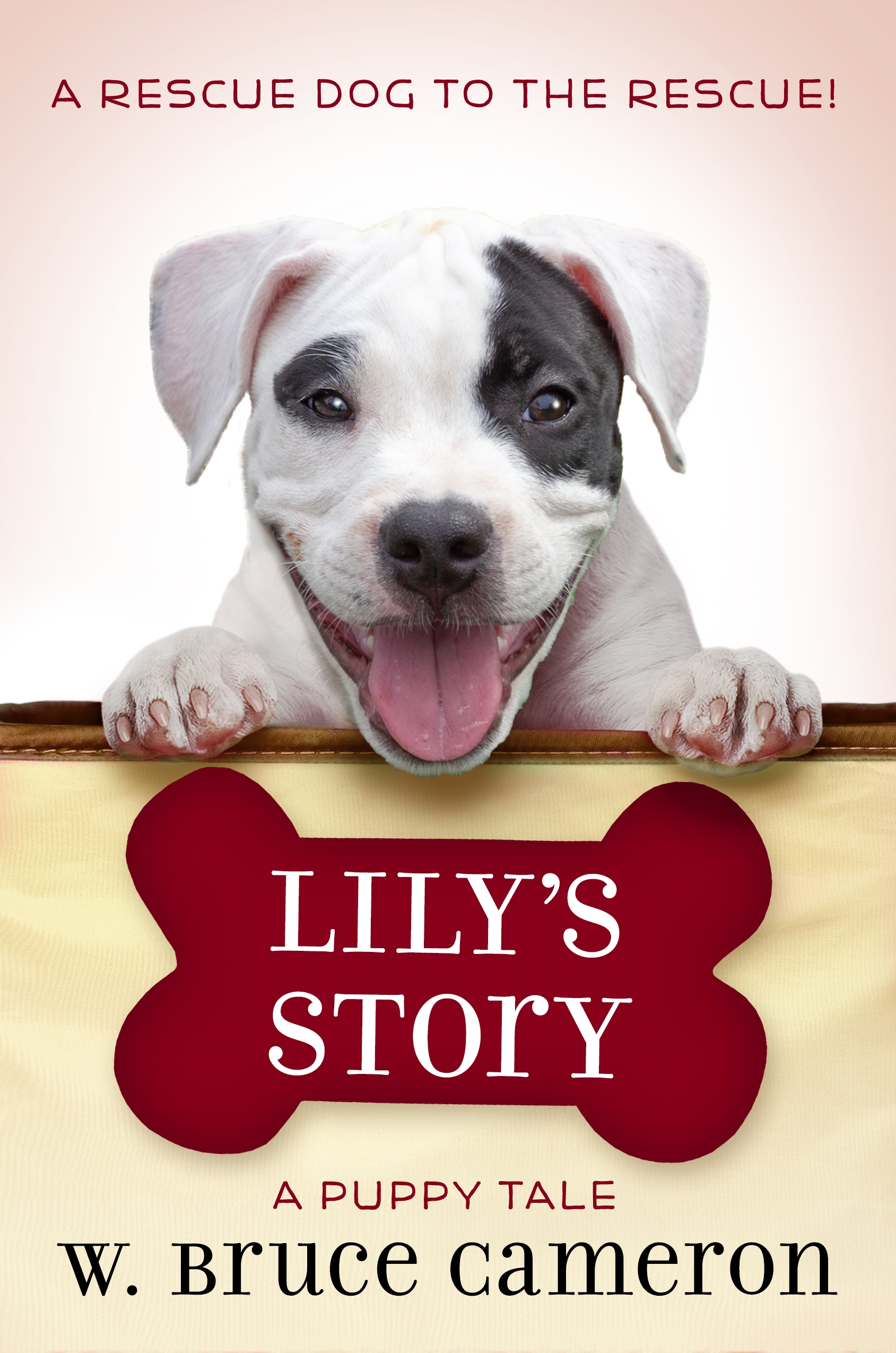 Lily's Story Book by W. Bruce Cameron