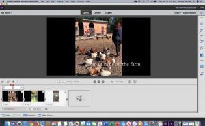 Adobe Premiere 2020 at Best Buy