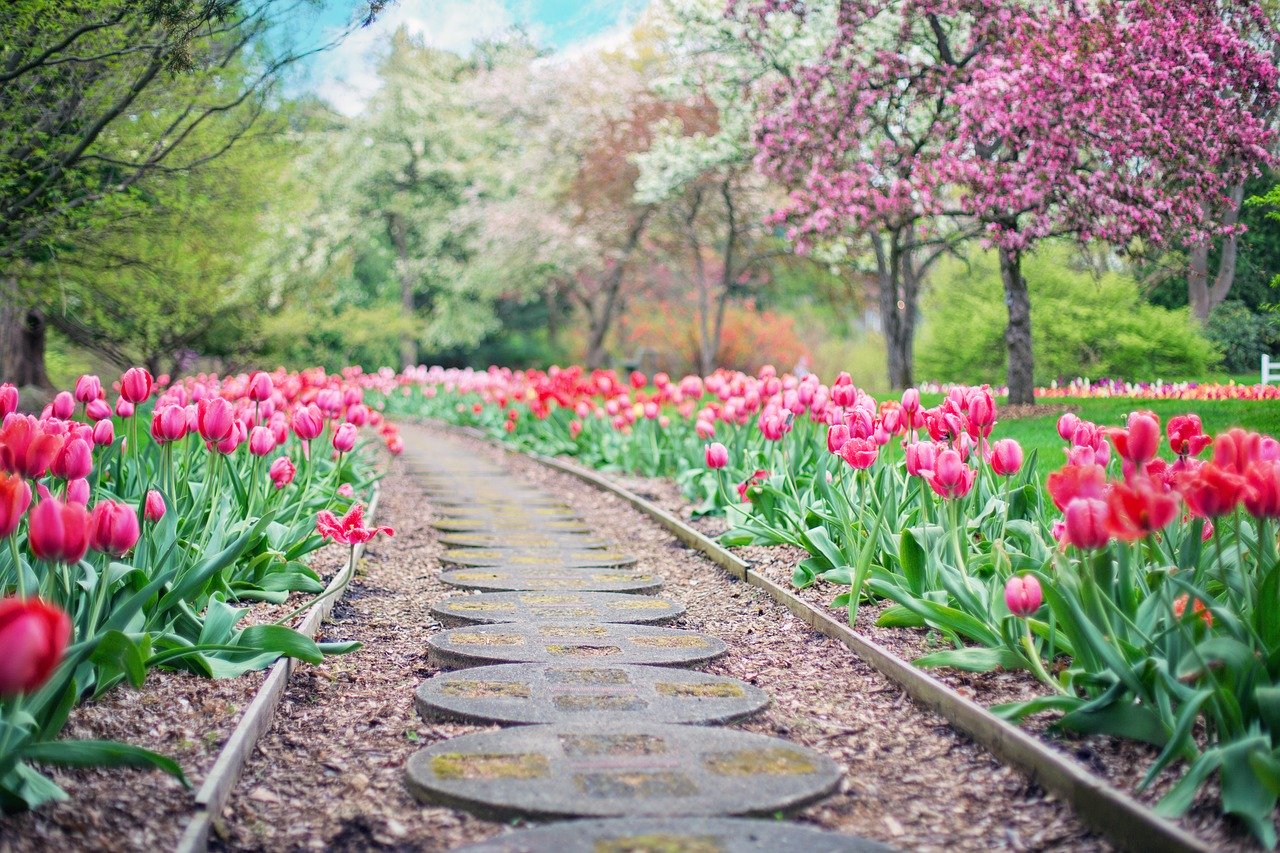 Garden Pathway