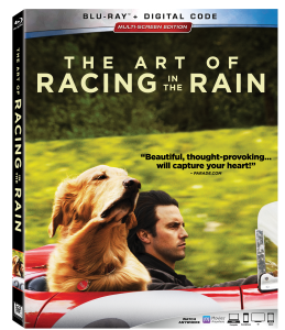 The Art of Racing in the Rain