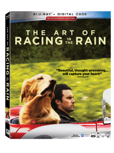 The Art of Racing in the Rain