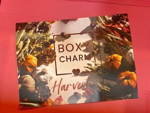 BoxyCharm November 2020