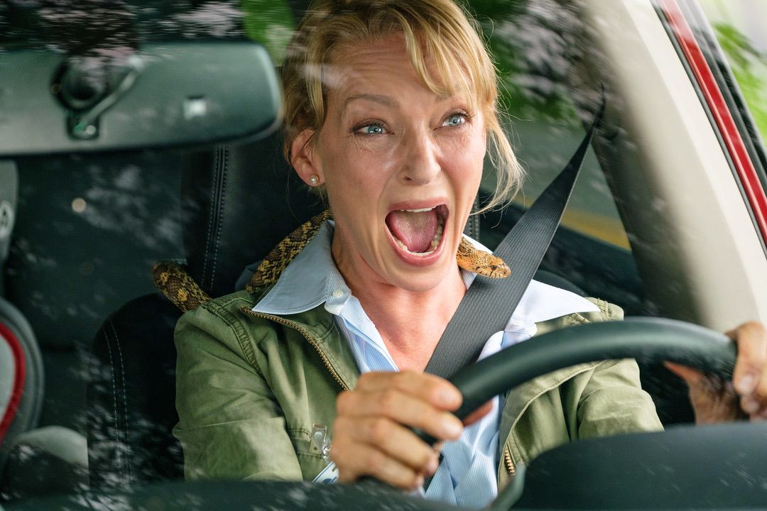 The War with Grandpa Movie