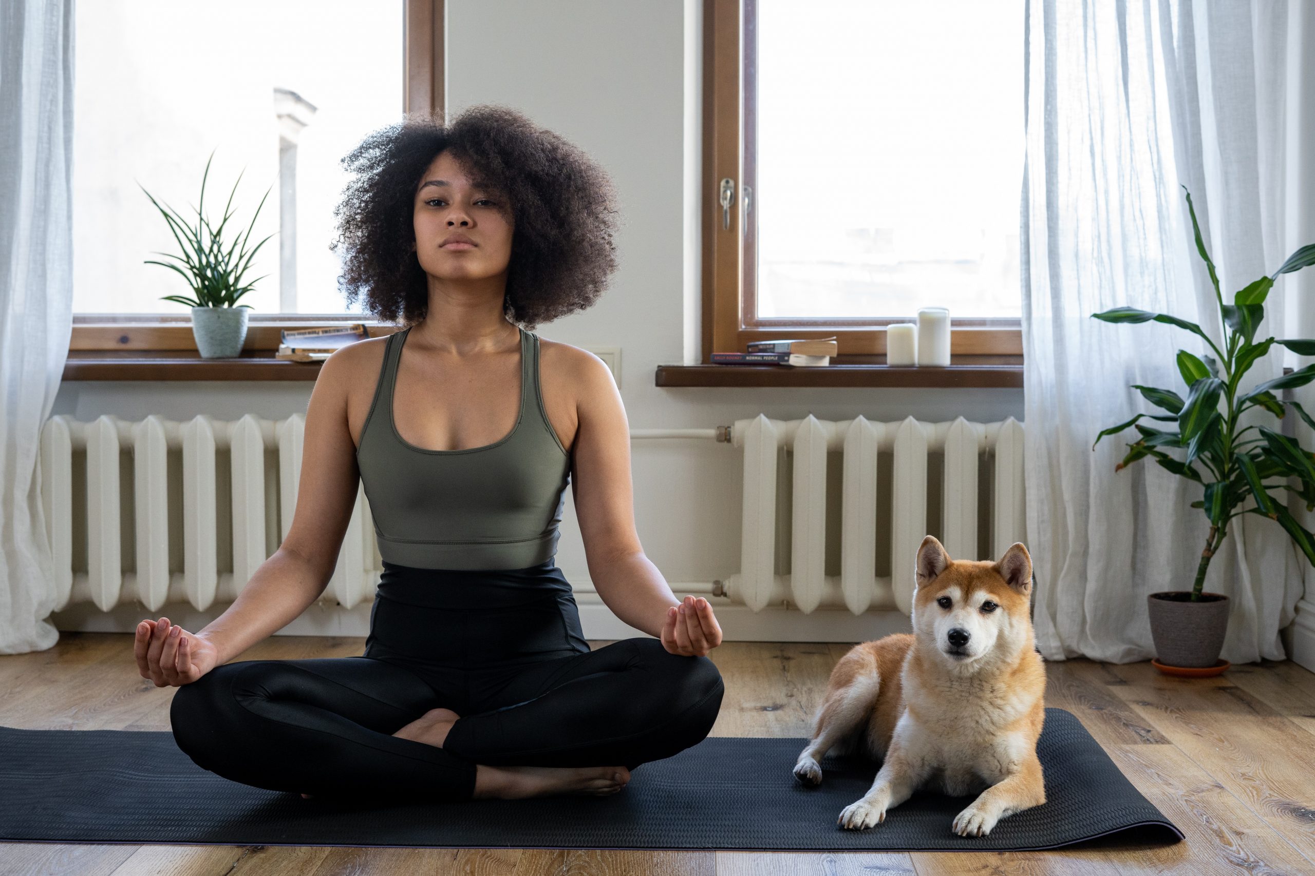 Woman meditating with dog in house