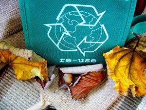 Recycle Sustainable Living