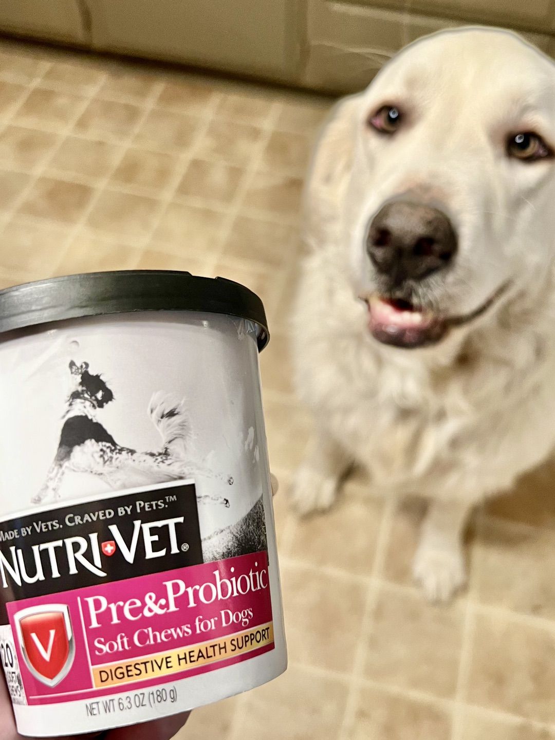 Pet Supplies from BabbleBoxx