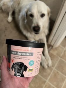 Pet Supplies from BabbleBoxx
