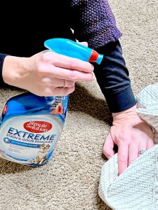 Pet Supplies from BabbleBoxx