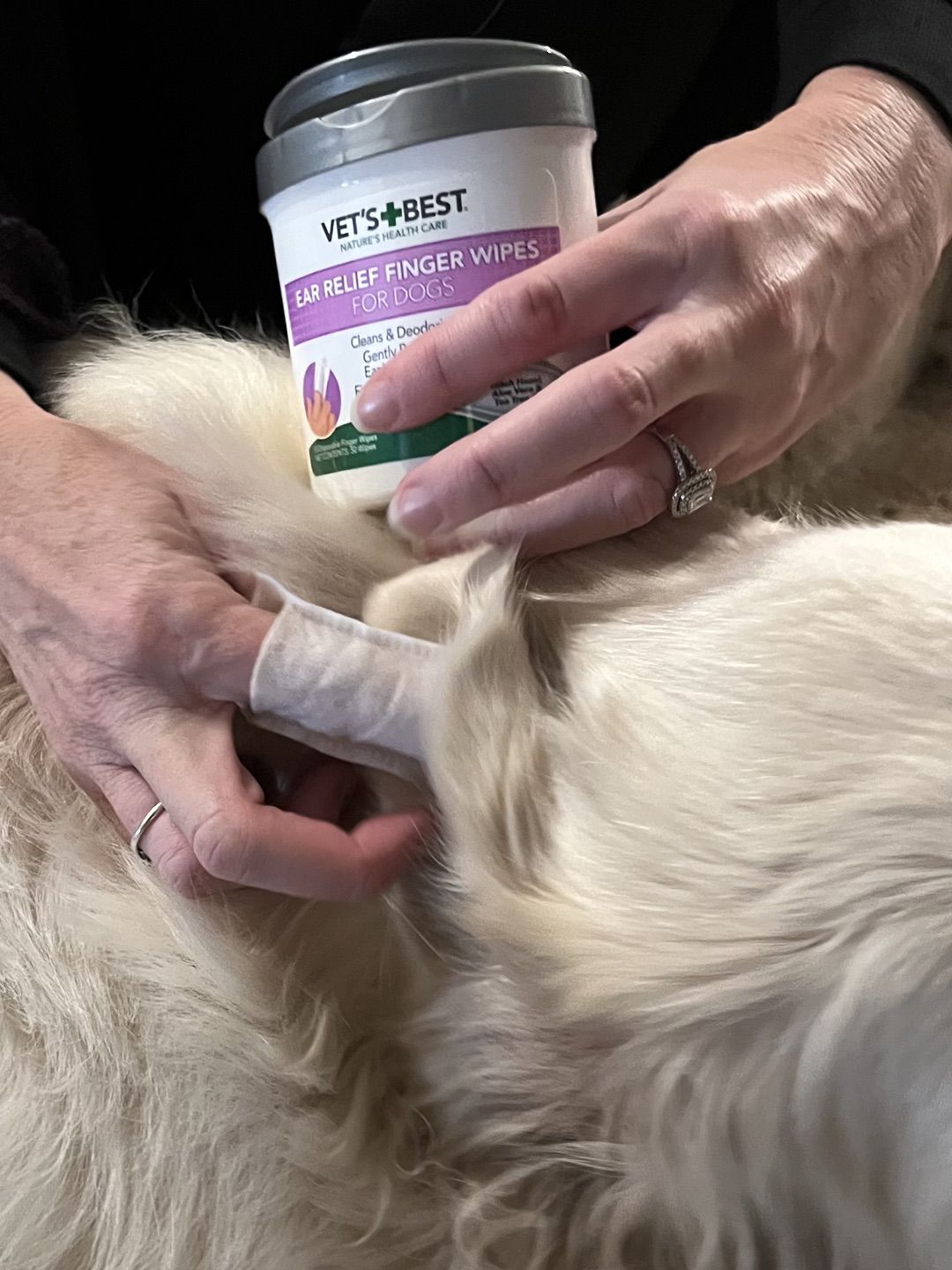 Pet Supplies from BabbleBoxx