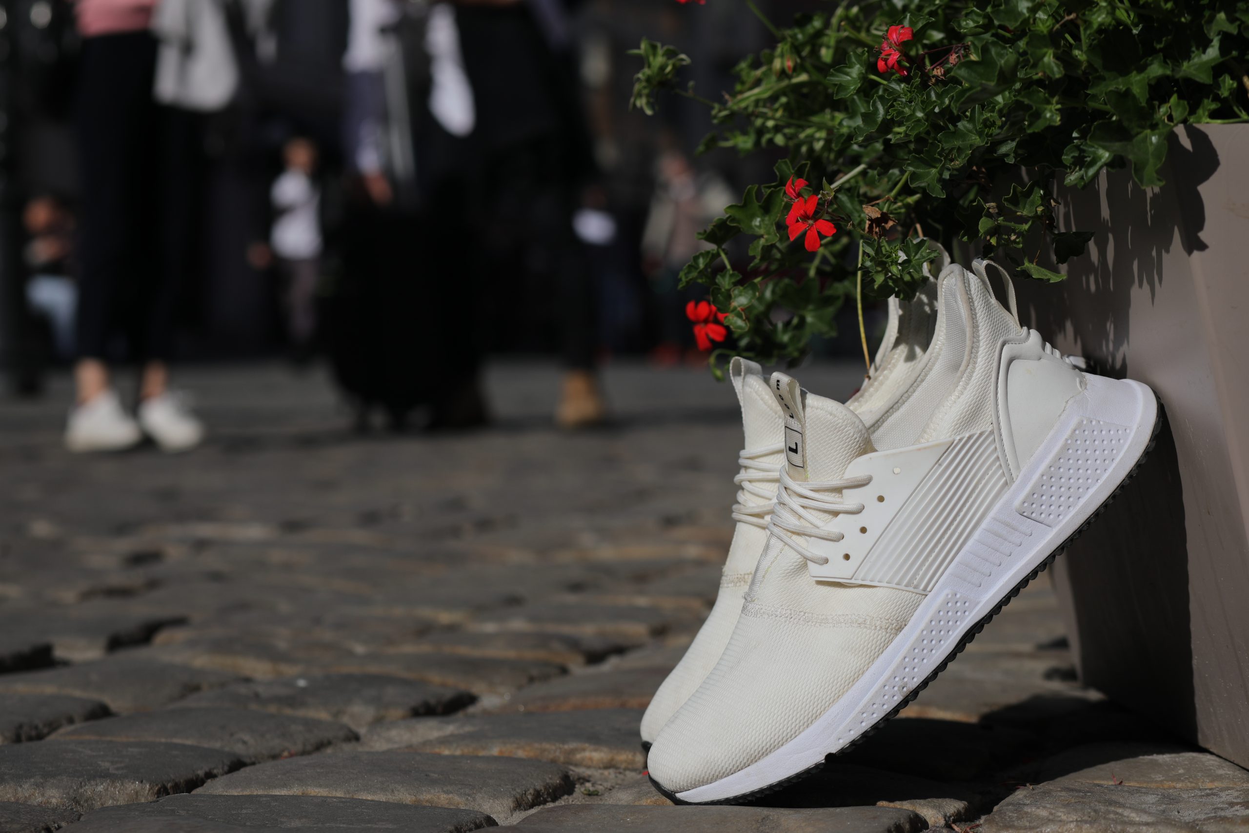 Loom Footwear Casual Shoes