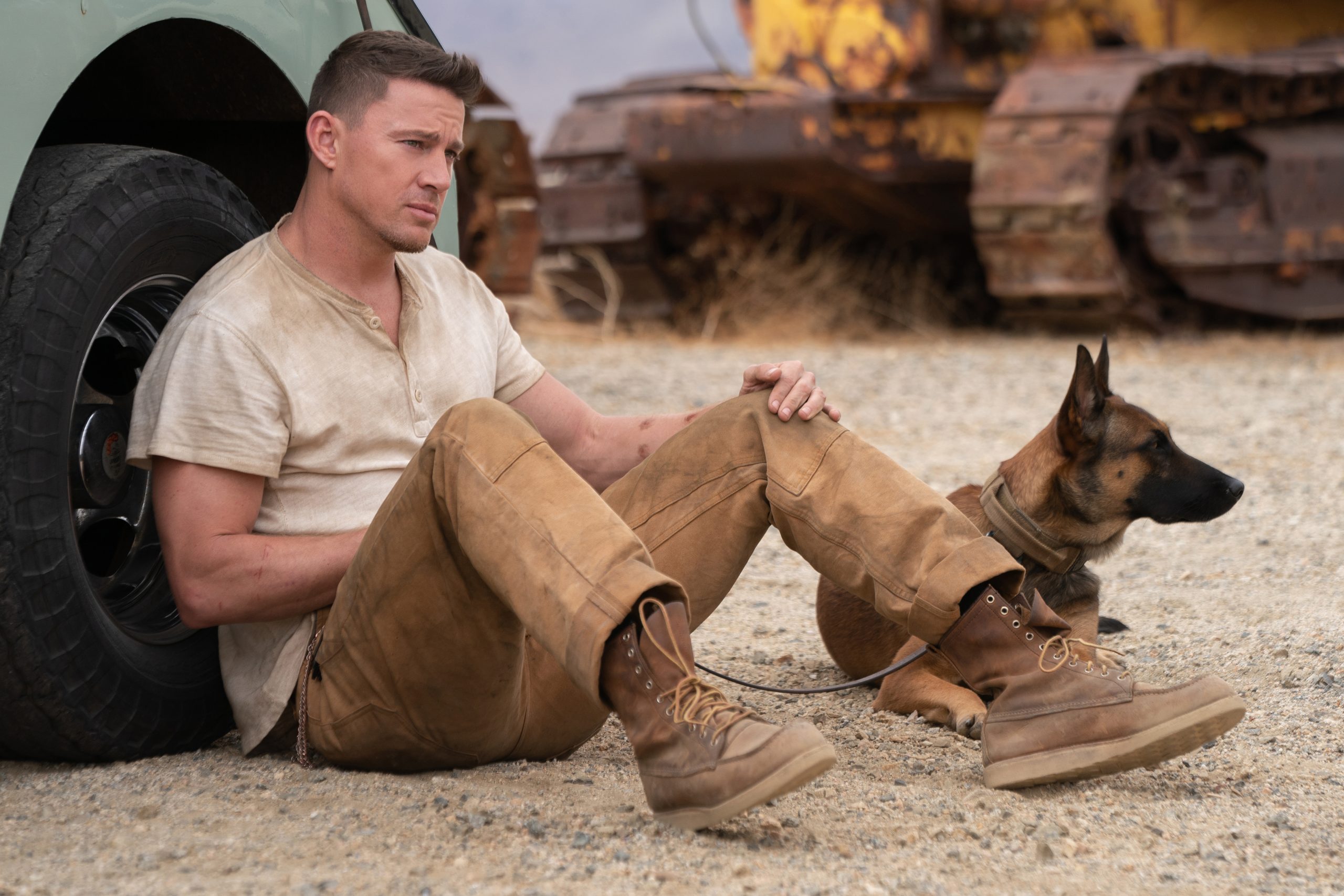 DOG Movie