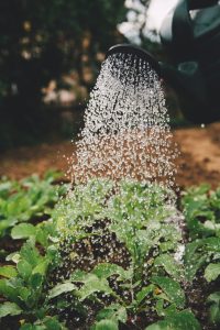 water purifier home