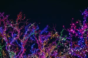 Christmas tree lights