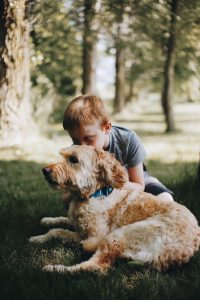 boy and dog