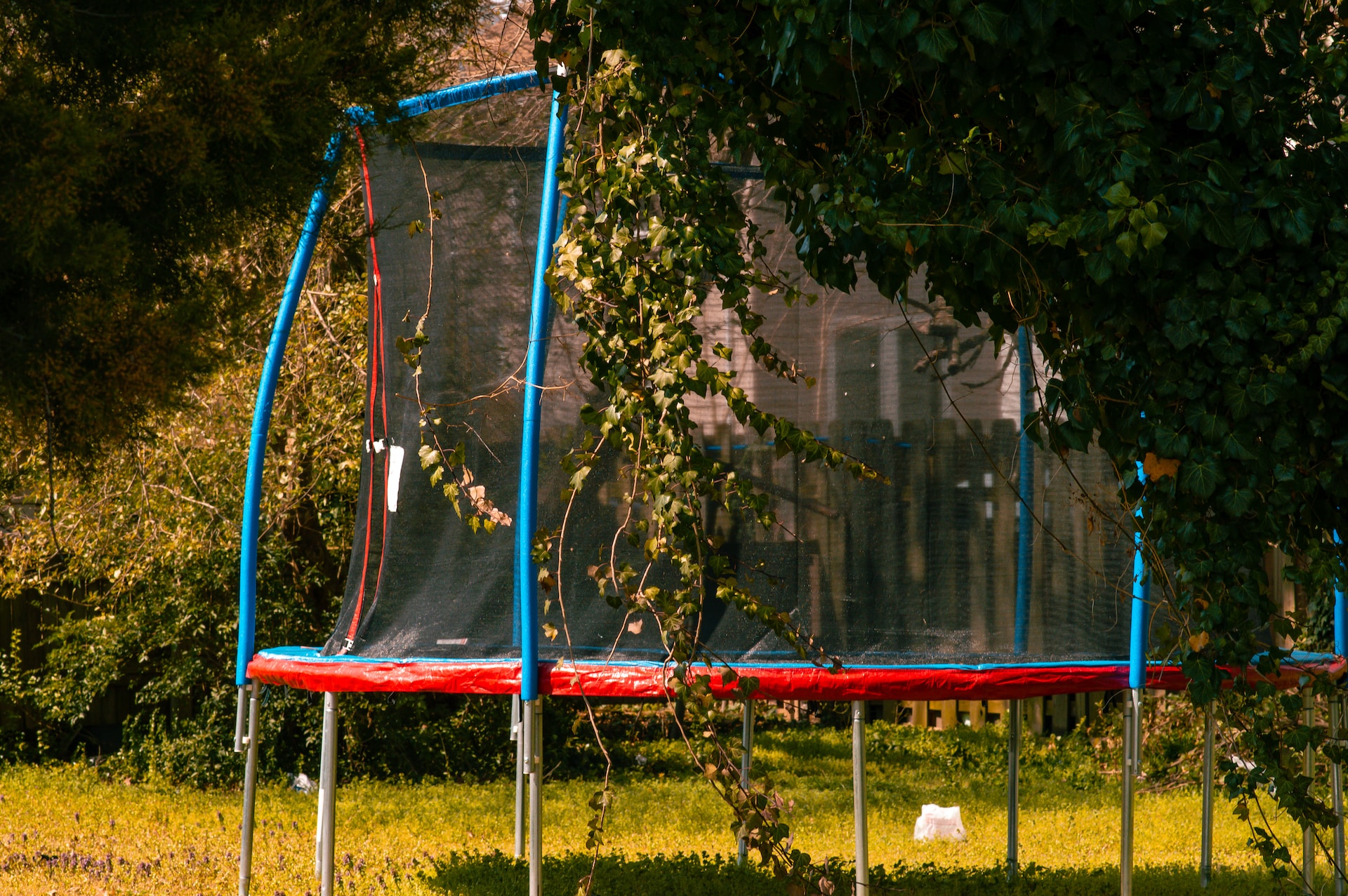 trampoline