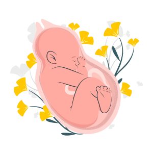 pregnancy pregnant gestational diabetes