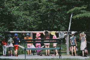 children on field trip