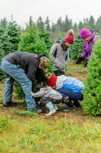Family traditions after divorce