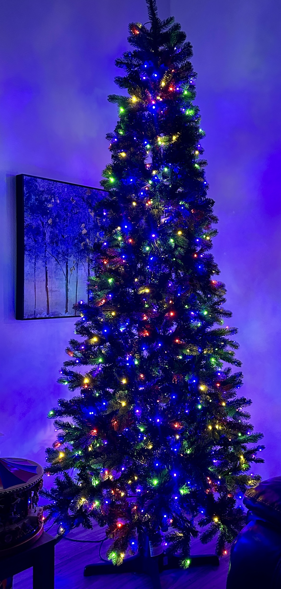 King of Christmas Tree artificial Douglas Fir Slim with Lights