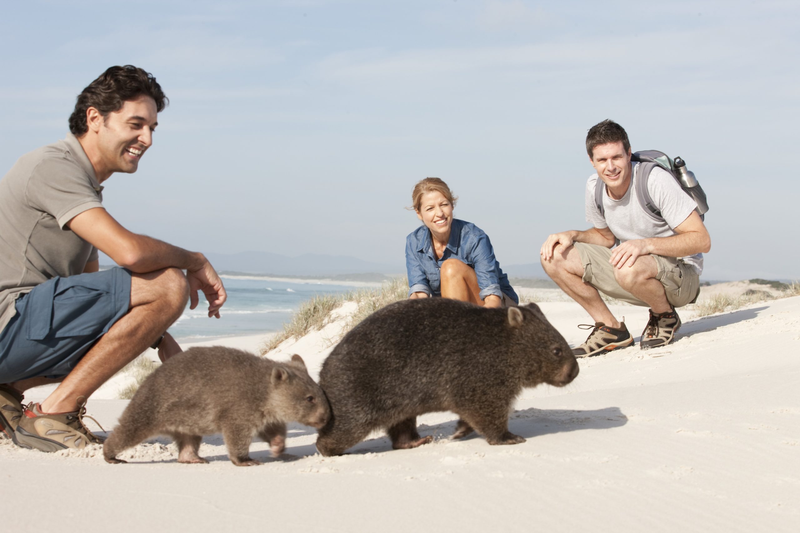 Australia and New Zealand vacation