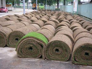rolls of sod
